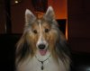 IMG_2573.jpg
