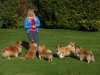 Lana with all six shelties.jpg