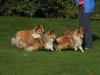 5 looking for the sixth.jpg