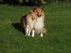 Effie & Blue, sibling love.jpg