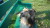 DSCF1316.jpg