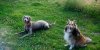 DSCF1319.jpg