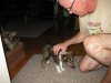 pics 204.jpg
