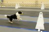 IMG_7198_small.jpg