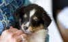 buddy1 (800x504).jpg