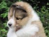 lunchbox_chex_tobie7wks.jpg