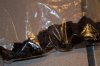 Gross.jpg