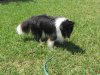 Lakes Park and Zak 012.jpg