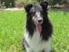 Lakes Park and Zak 014.jpg