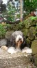 DSCF0531.jpg