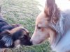 IMG_20121124_095237.jpg