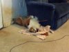 sleep.jpg