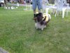 20130803_182221513963680.jpg