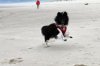 IMG_1255.jpg
