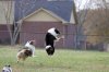 frisbee2.jpg