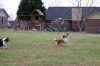 frisbee3.jpg