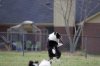 frisbee4.jpg