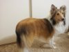 user4874_pic6240_1388380108[1].jpg