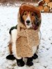 cheeze-01-435.jpg