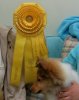 0604010012.jpg