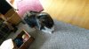 20140516_175516.jpg