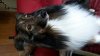 20140516_175316.jpg