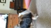 20140516_174920.jpg