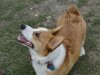 DSC01164.jpg