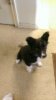 Jasmine 02162014.jpg