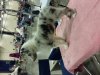 FB_IMG_1405204742402.jpg
