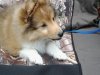 Baker 10 weeks.jpg