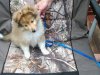 Baker 10 weeks-a.jpg
