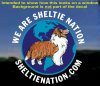 Sheltie_Nation_Die-Cut.jpg