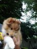 Baker at 11 weeks one more time.jpg