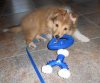 11 week b-day toys 1.jpg