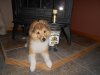13 weeks a.jpg