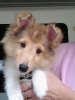 4 months old.jpg