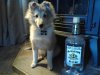 rum at 18 weeks sitting.jpg