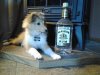rum at 18 weeks chilling.jpg