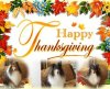thanksgiving.jpg