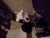 oberon pictures-20140929_174246.jpg