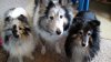 20150302_112511.jpg