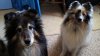 20150302_111938.jpg