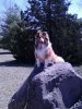 Baker on rock 11 months.jpg