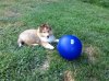 Ball  - Aug 2015.jpg