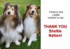 Chance and Laddie Thanks.jpg