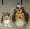 Tully and tully.jpg