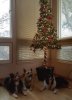 20161126_141341_014.jpg