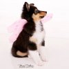 Skylar with wings.jpg