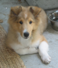 2017-03-08_8-17-03.png